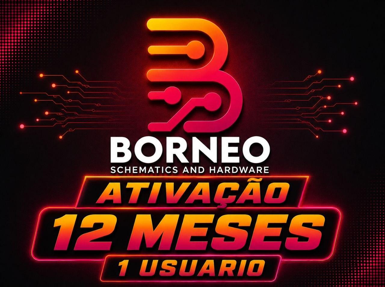 BORNEO ESCHEMATICS - ATIVAÇÃO OU RENOVAÇÃO [ 1ANO / 1 PC ]