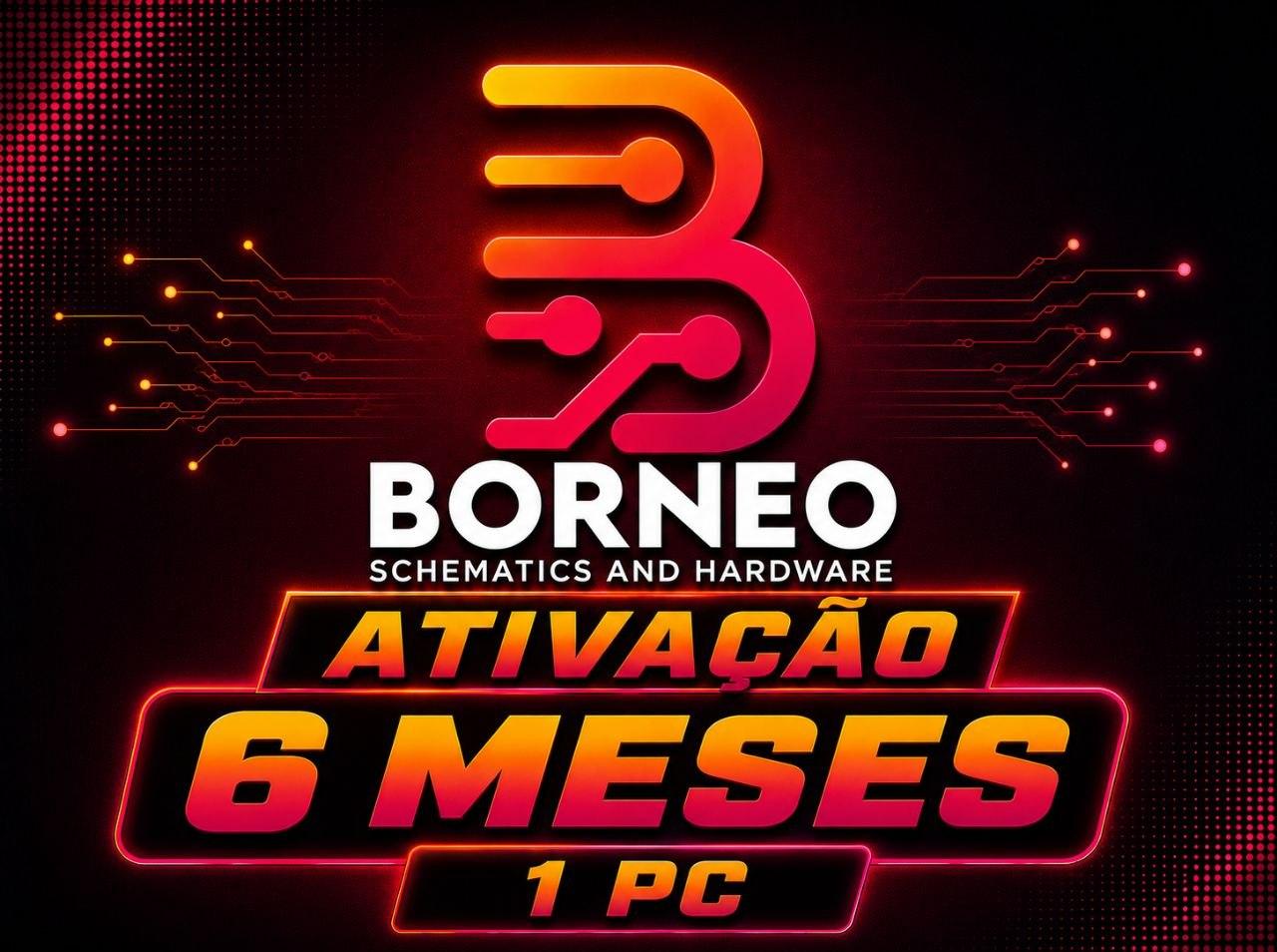 BORNEO ESCHEMATICS - ATIVAÇÃO OU RENOVAÇÃO [ 6 MESES / 1 PC ]