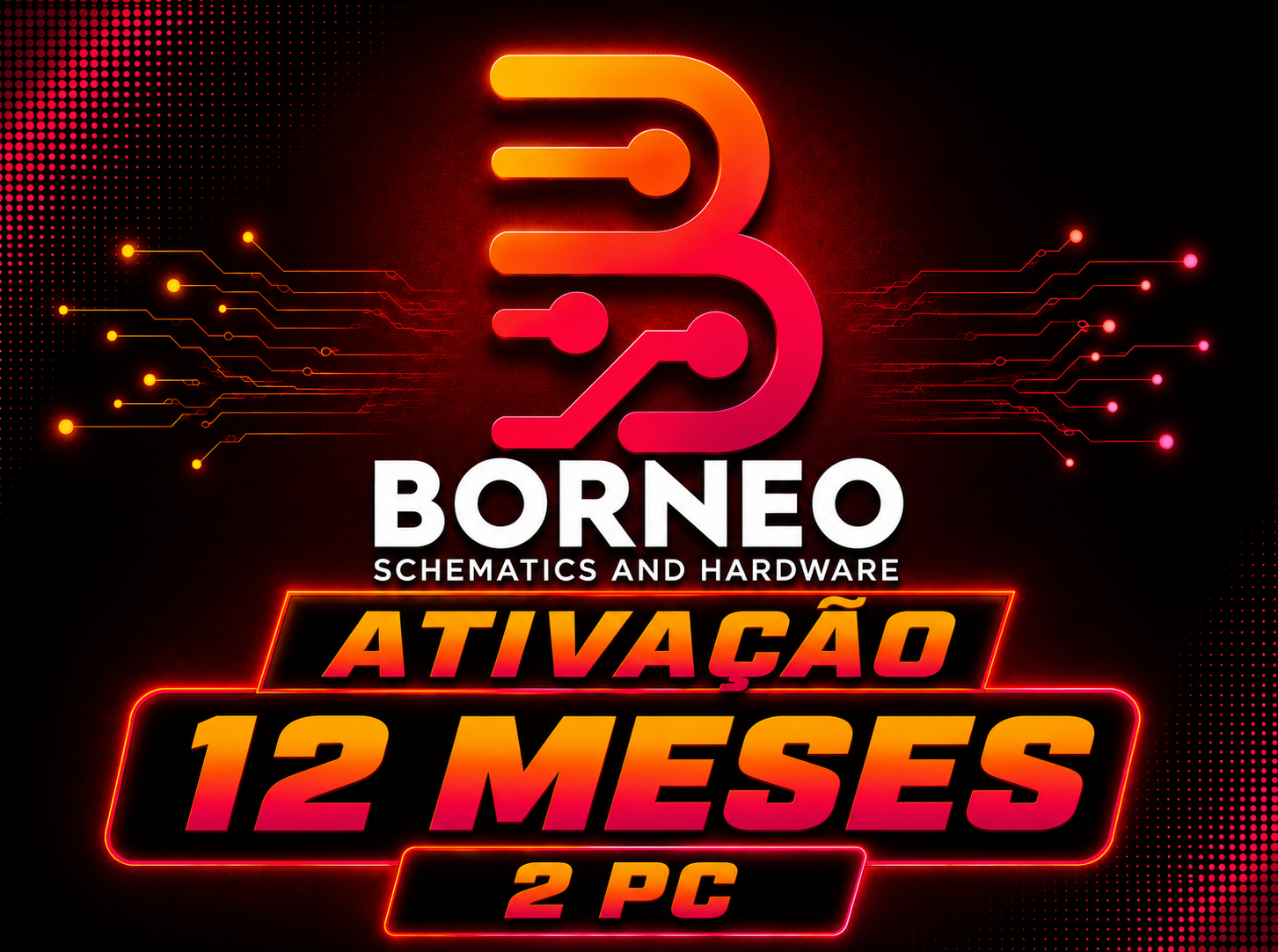 BORNEO ESCHEMATICS - ATIVAÇÃO OU RENOVAÇÃO[ 1 ANO / 2 PC ]