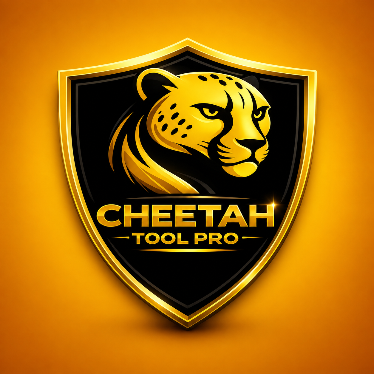 CHEETAH TOOL  ATIVAÇÃO LG 12 MESES