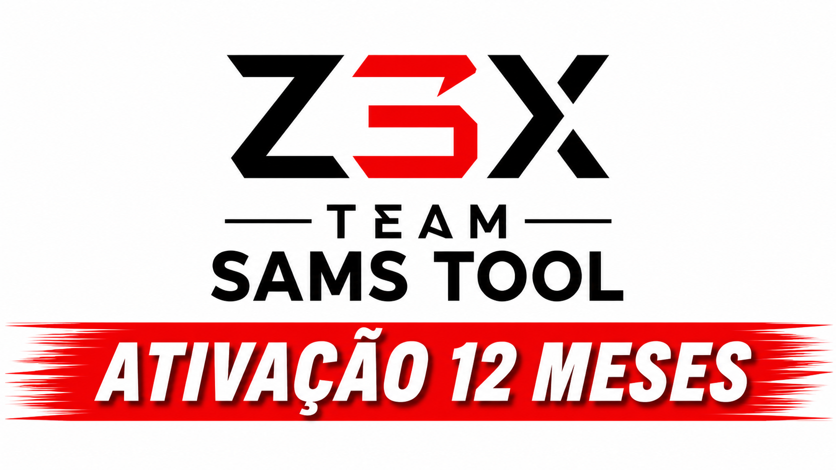 Z3X Tool Sams Tool - Ativação 12 Meses [ Usuário Existente]